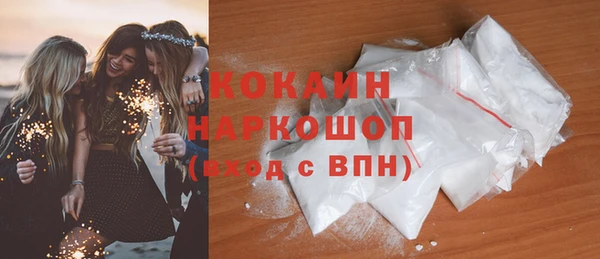 мдпв Богородск