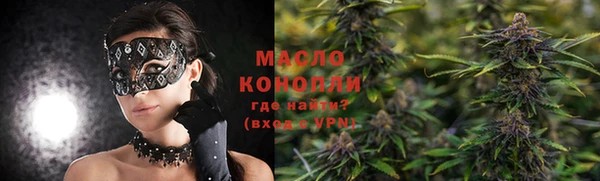 мдпв Богородск