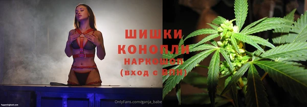 мдпв Богородск