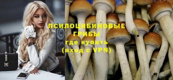 а пвп мука Осинники