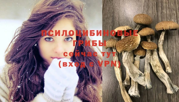 PSILOCYBIN Богданович
